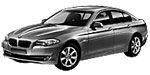 BMW F10 P00AA Fault Code